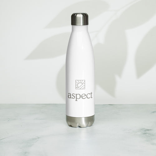 Stainless steel water bottle