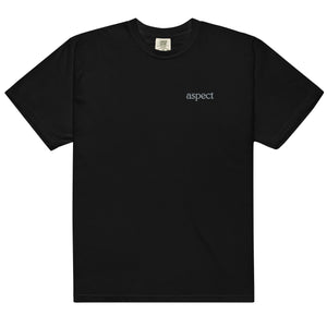 Embroidered garment-dyed heavyweight t-shirt